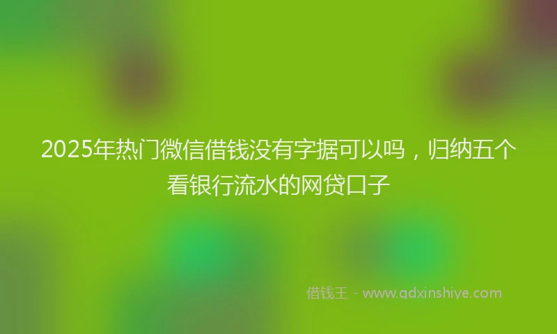 2025年热门微信借钱没有字据可以吗，归纳五个看银行流水的网贷口子