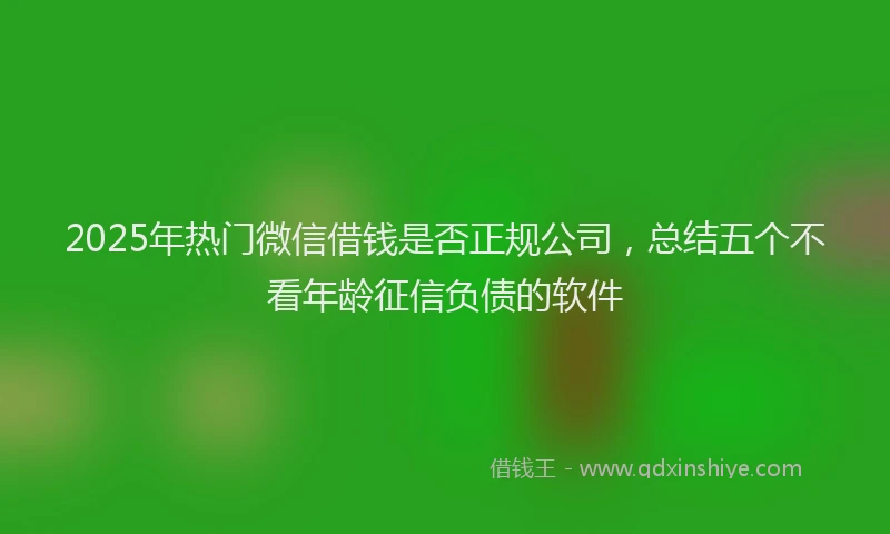 2025年热门微信借钱是否正规公司，总结五个不看年龄征信负债的软件