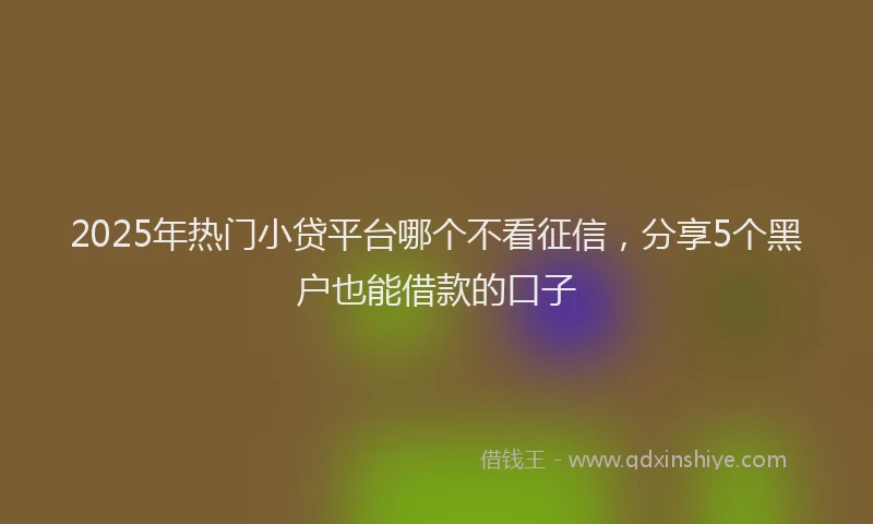 2025年热门小贷平台哪个不看征信，分享5个黑户也能借款的口子