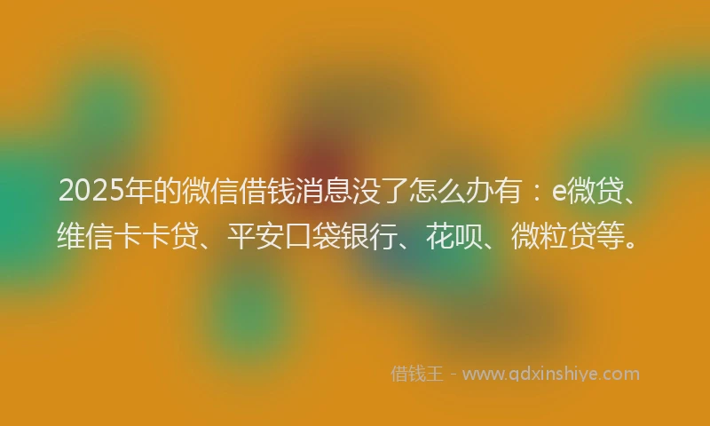 2025年的微信借钱消息没了怎么办有：e微贷、维信卡卡贷、平安口袋银行、花呗、微粒贷等。
