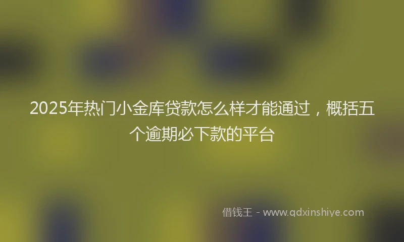 2025年热门小金库贷款怎么样才能通过，概括五个逾期必下款的平台