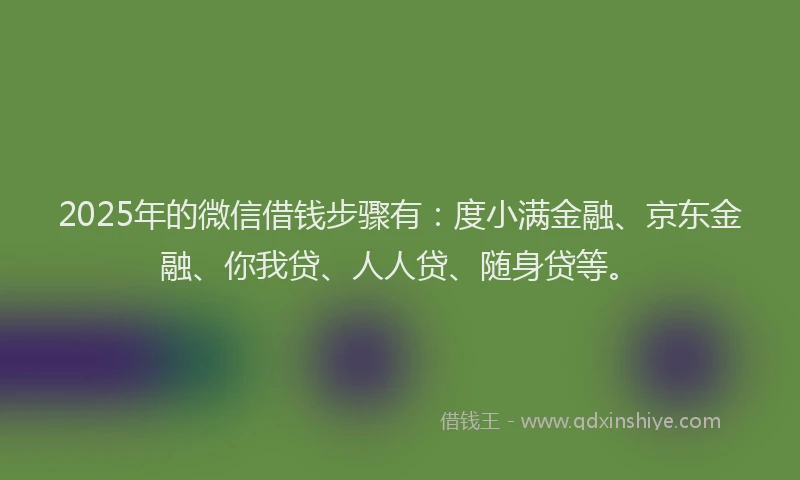 2025年的微信借钱步骤有：度小满金融、京东金融、你我贷、人人贷、随身贷等。