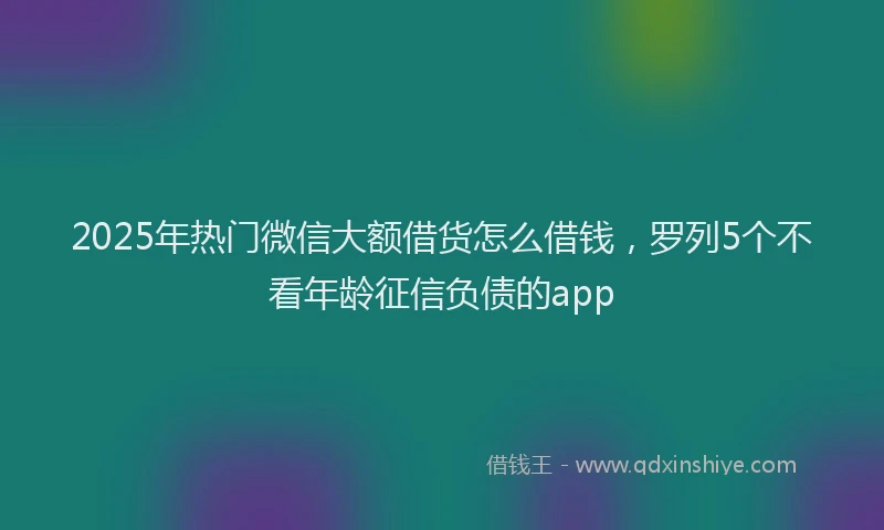 2025年热门微信大额借货怎么借钱，罗列5个不看年龄征信负债的app