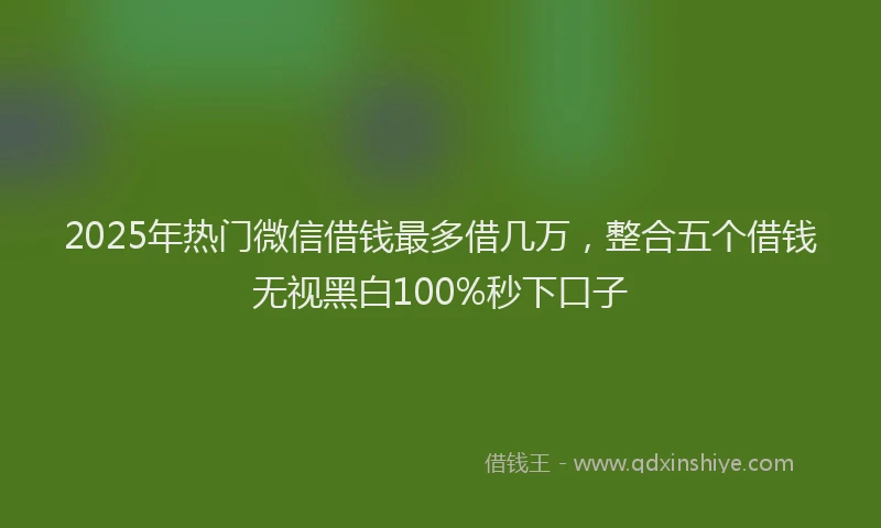 2025年热门微信借钱最多借几万，整合五个借钱无视黑白100%秒下口子