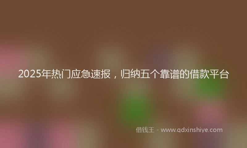 2025年热门应急速报，归纳五个靠谱的借款平台