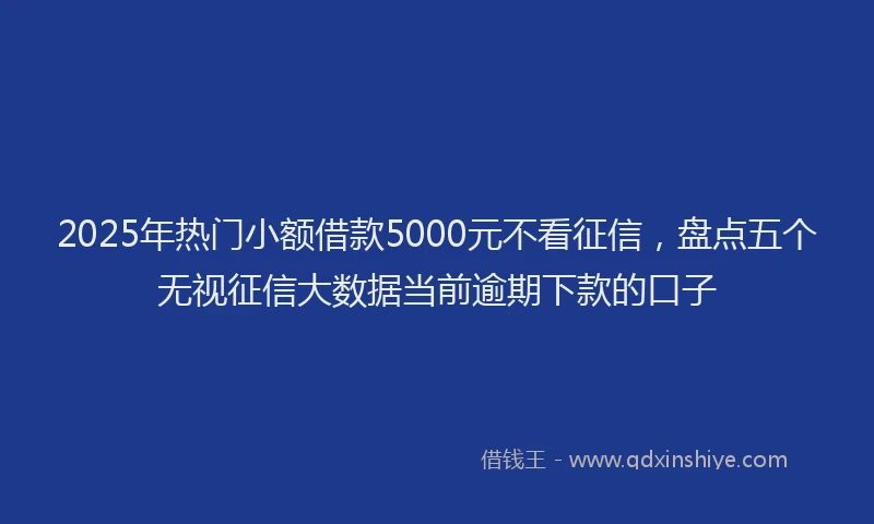 2025年热门小额借款5000元不看征信，盘点五个无视征信大数据当前逾期下款的口子