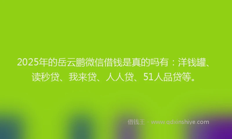 2025年的岳云鹏微信借钱是真的吗有：洋钱罐、读秒贷、我来贷、人人贷、51人品贷等。