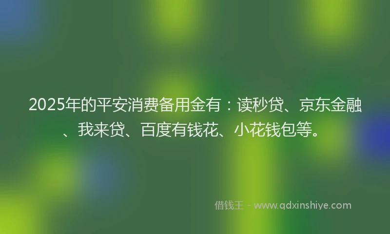 2025年的平安消费备用金有：读秒贷、京东金融、我来贷、百度有钱花、小花钱包等。