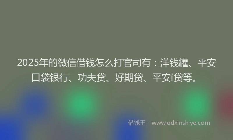 2025年的微信借钱怎么打官司有：洋钱罐、平安口袋银行、功夫贷、好期贷、平安i贷等。