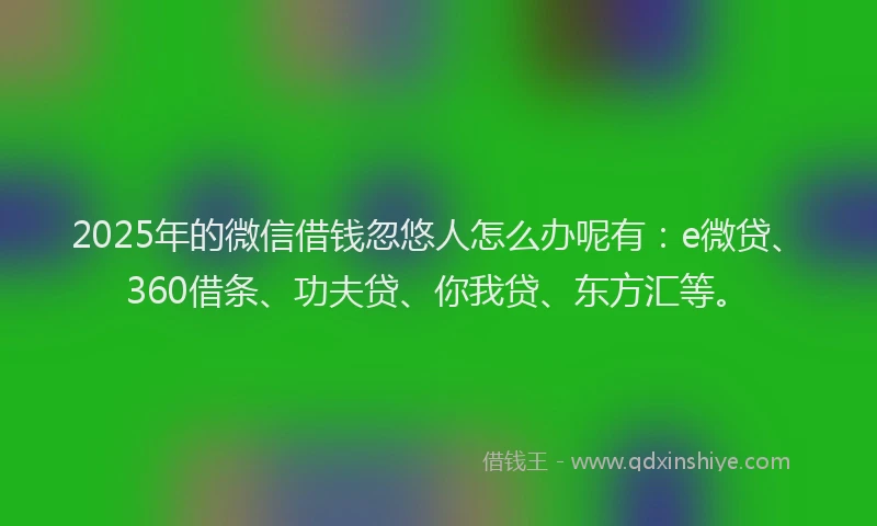 2025年的微信借钱忽悠人怎么办呢有：e微贷、360借条、功夫贷、你我贷、东方汇等。