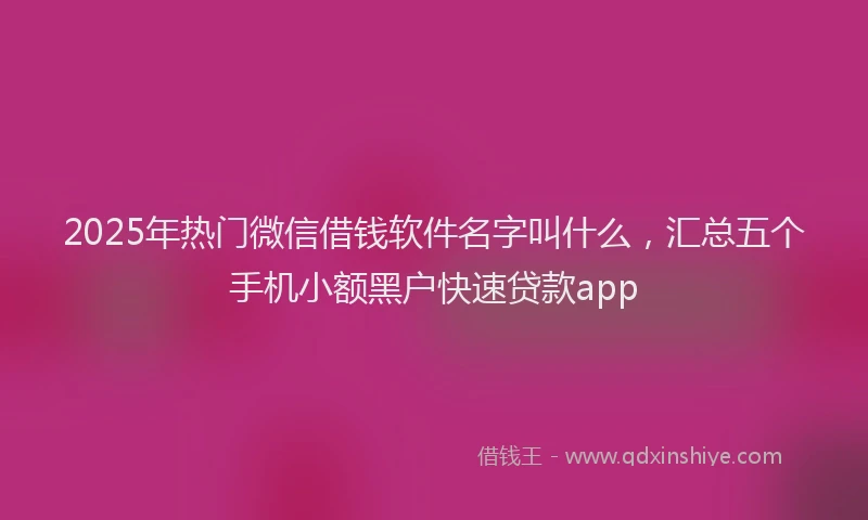 2025年热门微信借钱软件名字叫什么，汇总五个手机小额黑户快速贷款app