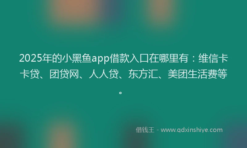 2025年的小黑鱼app借款入口在哪里有：维信卡卡贷、团贷网、人人贷、东方汇、美团生活费等。