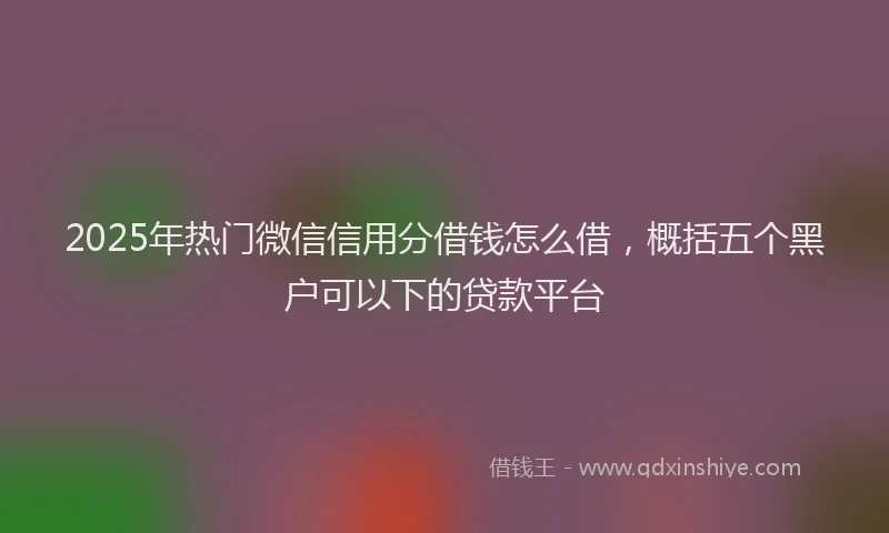 2025年热门微信信用分借钱怎么借，概括五个黑户可以下的贷款平台