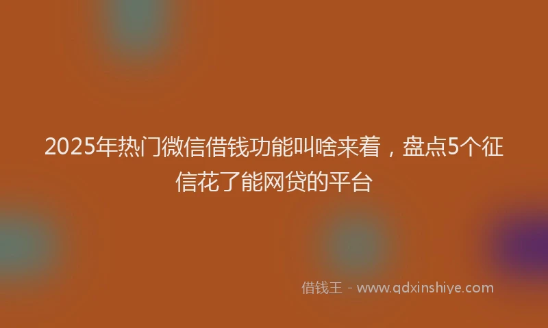2025年热门微信借钱功能叫啥来着，盘点5个征信花了能网贷的平台