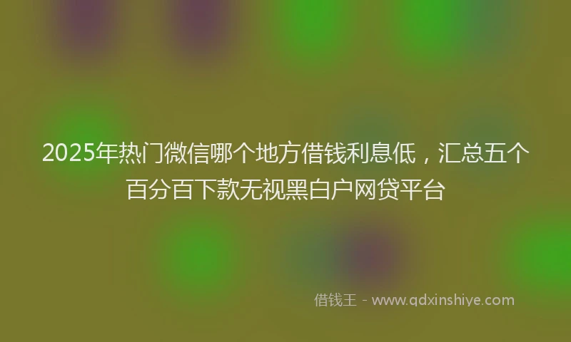 2025年热门微信哪个地方借钱利息低，汇总五个百分百下款无视黑白户网贷平台