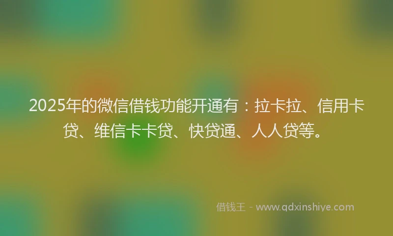 2025年的微信借钱功能开通有：拉卡拉、信用卡贷、维信卡卡贷、快贷通、人人贷等。