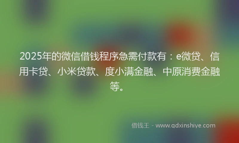 2025年的微信借钱程序急需付款有：e微贷、信用卡贷、小米贷款、度小满金融、中原消费金融等。