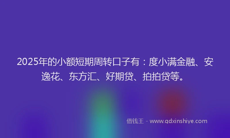 2025年的小额短期周转口子有：度小满金融、安逸花、东方汇、好期贷、拍拍贷等。