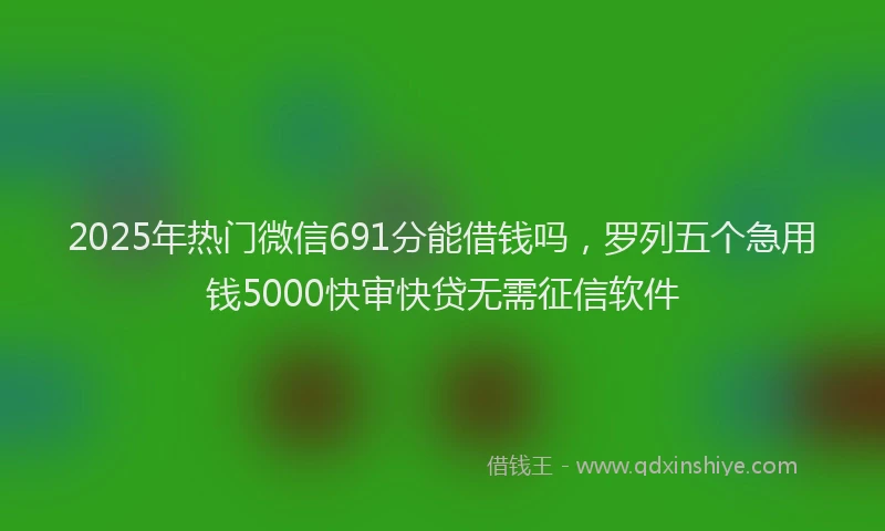 2025年热门微信691分能借钱吗，罗列五个急用钱5000快审快贷无需征信软件