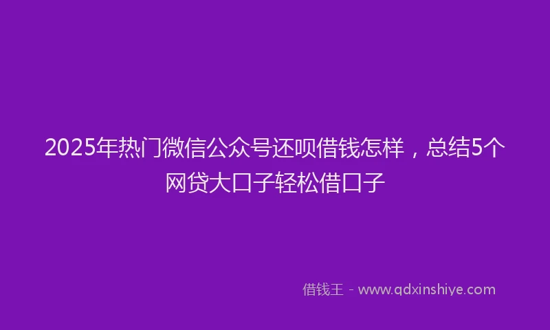 2025年热门微信公众号还呗借钱怎样，总结5个网贷大口子轻松借口子