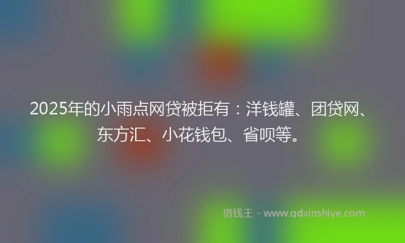 2025年的小雨点网贷被拒有：洋钱罐、团贷网、东方汇、小花钱包、省呗等。