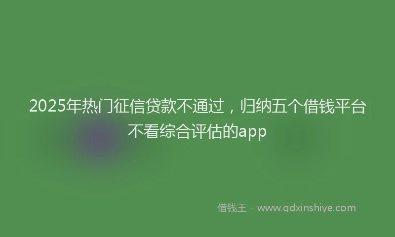 2025年热门征信贷款不通过，归纳五个借钱平台不看综合评估的app