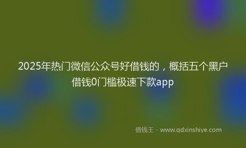 2025年热门微信公众号好借钱的，概括五个黑户借钱0门槛极速下款app
