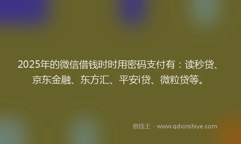 2025年的微信借钱时时用密码支付有：读秒贷、京东金融、东方汇、平安i贷、微粒贷等。