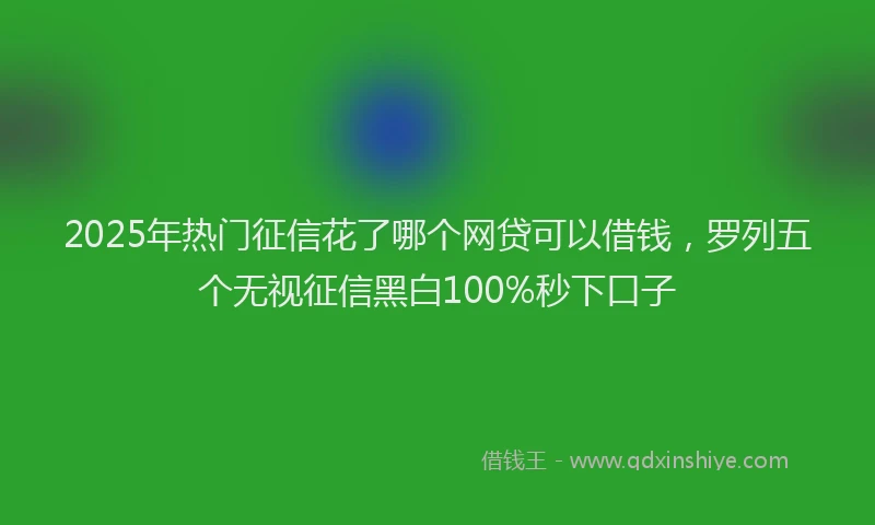 2025年热门征信花了哪个网贷可以借钱，罗列五个无视征信黑白100%秒下口子
