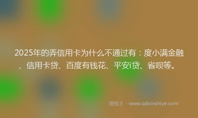 2025年的弄信用卡为什么不通过有：度小满金融、信用卡贷、百度有钱花、平安i贷、省呗等。