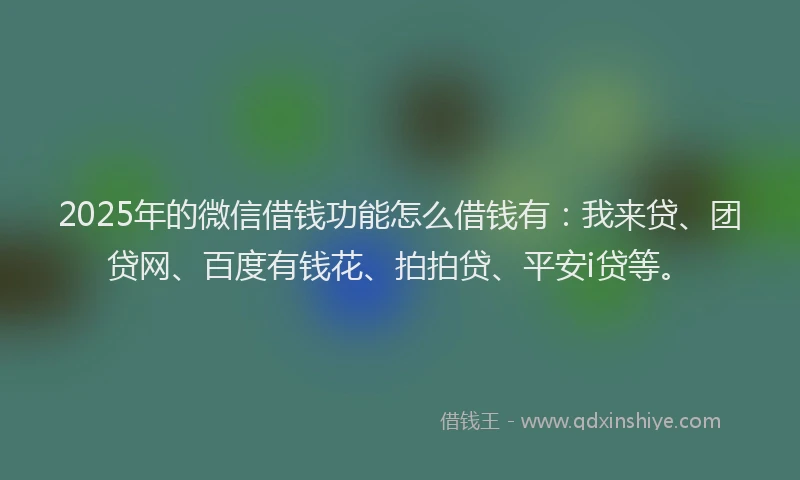 2025年的微信借钱功能怎么借钱有：我来贷、团贷网、百度有钱花、拍拍贷、平安i贷等。