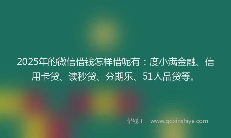 2025年的微信借钱怎样借呢有：度小满金融、信用卡贷、读秒贷、分期乐、51人品贷等。