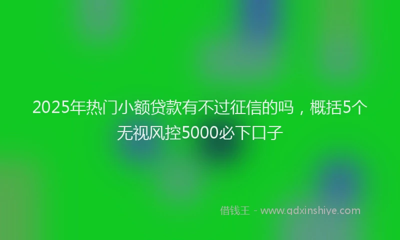 2025年热门小额贷款有不过征信的吗，概括5个无视风控5000必下口子