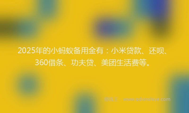 2025年的小蚂蚁备用金有：小米贷款、还呗、360借条、功夫贷、美团生活费等。