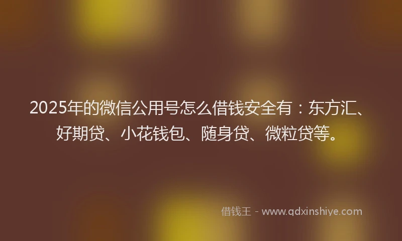 2025年的微信公用号怎么借钱安全有：东方汇、好期贷、小花钱包、随身贷、微粒贷等。