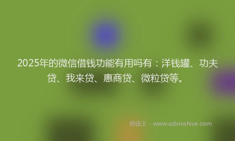 2025年的微信借钱功能有用吗有：洋钱罐、功夫贷、我来贷、惠商贷、微粒贷等。