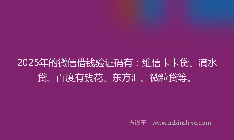 2025年的微信借钱验证码有：维信卡卡贷、滴水贷、百度有钱花、东方汇、微粒贷等。