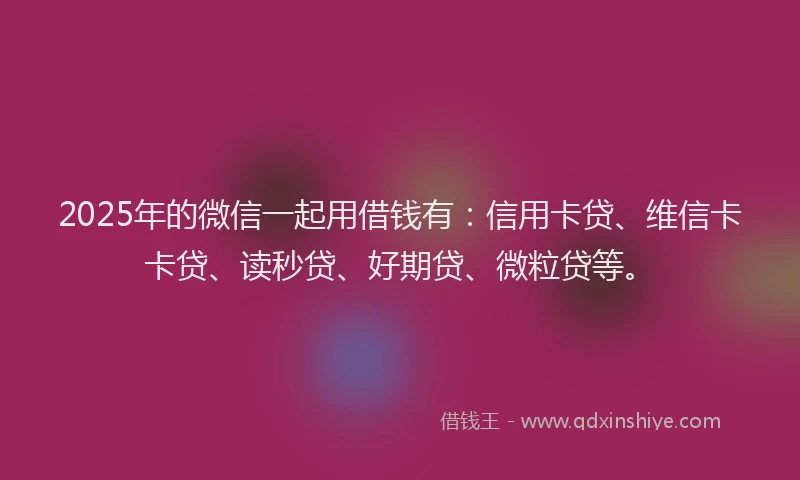 2025年的微信一起用借钱有：信用卡贷、维信卡卡贷、读秒贷、好期贷、微粒贷等。