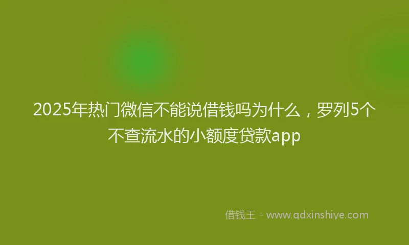 2025年热门微信不能说借钱吗为什么，罗列5个不查流水的小额度贷款app