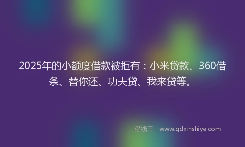 2025年的小额度借款被拒有：小米贷款、360借条、替你还、功夫贷、我来贷等。