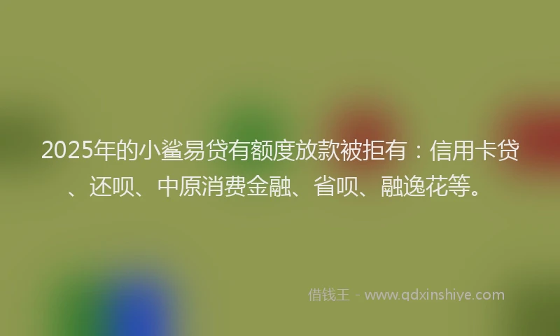2025年的小鲨易贷有额度放款被拒有：信用卡贷、还呗、中原消费金融、省呗、融逸花等。