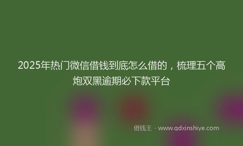 2025年热门微信借钱到底怎么借的，梳理五个高炮双黑逾期必下款平台