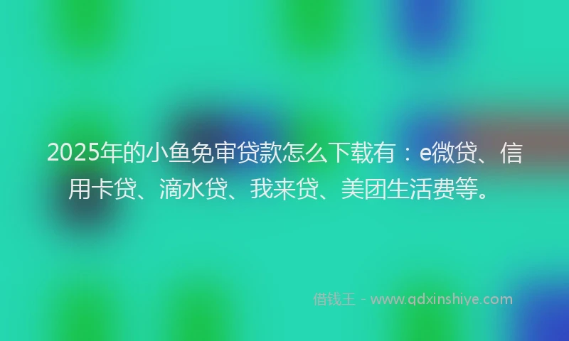 2025年的小鱼免审贷款怎么下载有：e微贷、信用卡贷、滴水贷、我来贷、美团生活费等。