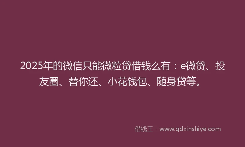 2025年的微信只能微粒贷借钱么有：e微贷、投友圈、替你还、小花钱包、随身贷等。