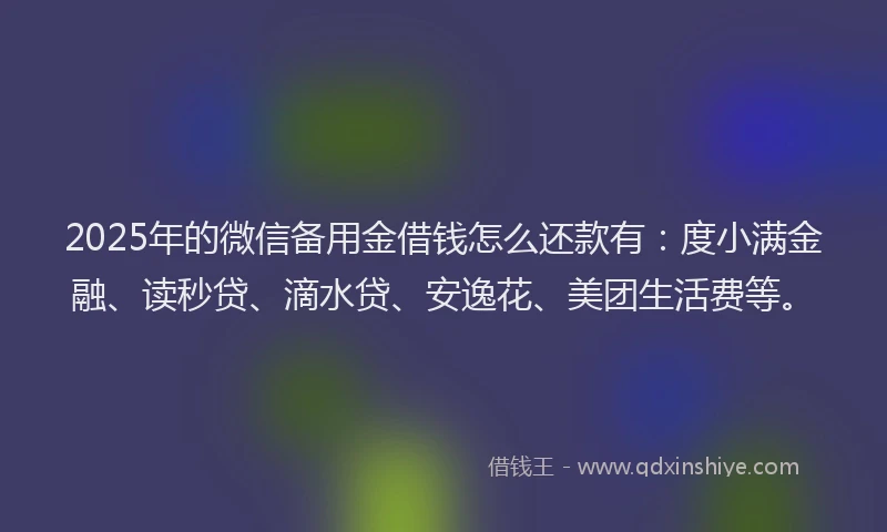 2025年的微信备用金借钱怎么还款有：度小满金融、读秒贷、滴水贷、安逸花、美团生活费等。