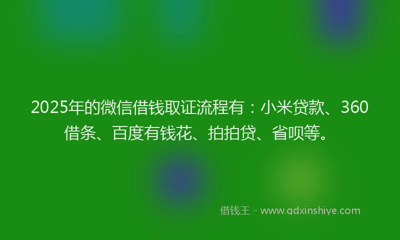 2025年的微信借钱取证流程有：小米贷款、360借条、百度有钱花、拍拍贷、省呗等。