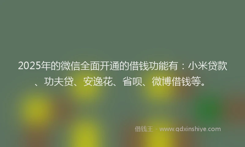 2025年的微信全面开通的借钱功能有：小米贷款、功夫贷、安逸花、省呗、微博借钱等。