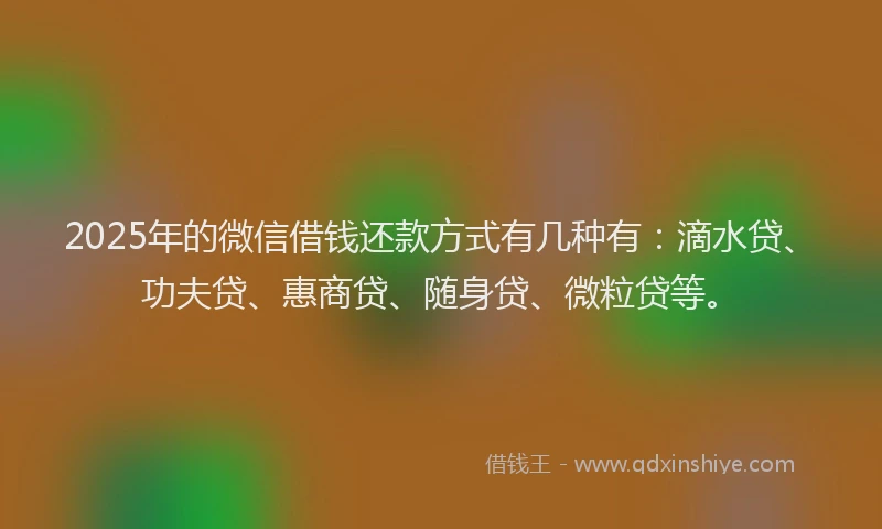 2025年的微信借钱还款方式有几种有：滴水贷、功夫贷、惠商贷、随身贷、微粒贷等。