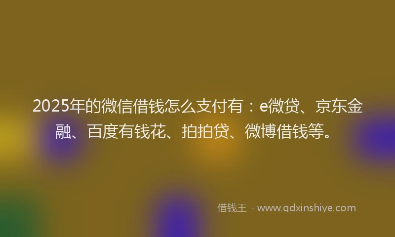 2025年的微信借钱怎么支付有：e微贷、京东金融、百度有钱花、拍拍贷、微博借钱等。