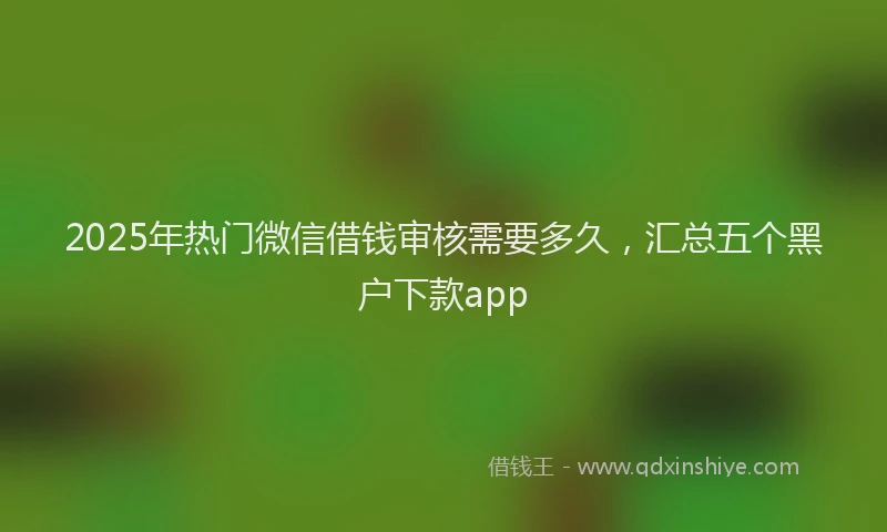 2025年热门微信借钱审核需要多久，汇总五个黑户下款app